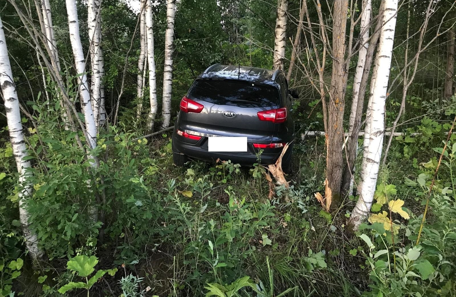 В Верхошижемском районе в аварии пострадали четыре человека, из них двое детей