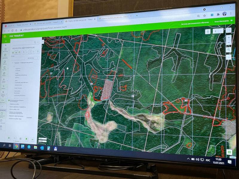 В Кировской области проводится цифровизация данных лесного фонда