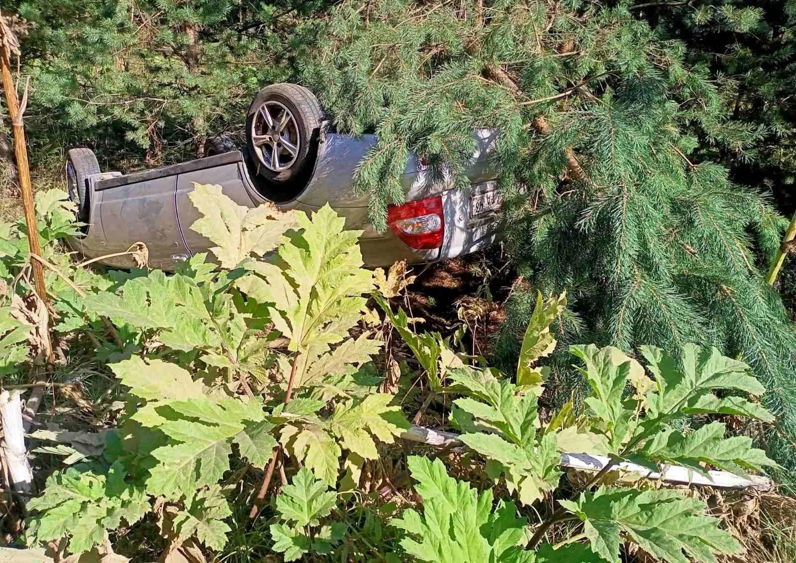 В Белохолуницком районе опрокинулся автомобиль: водитель погиб