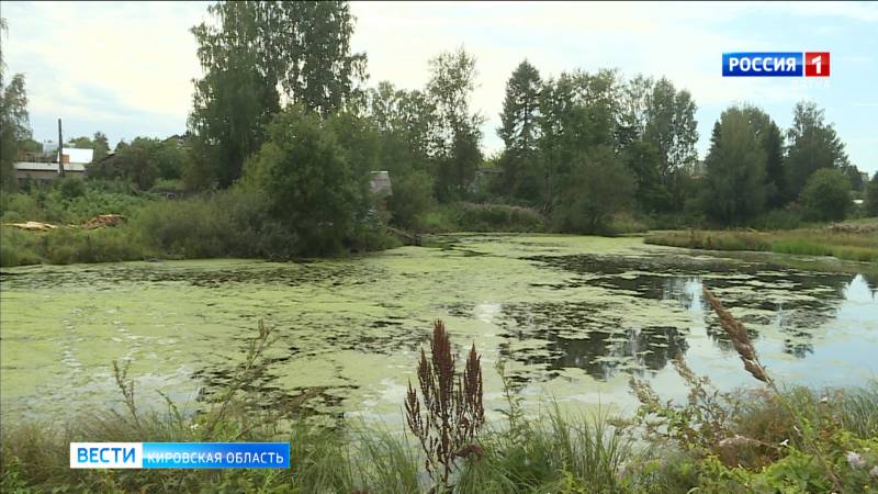 Кировские общественники провели независимое исследование воды в реке Мостовице