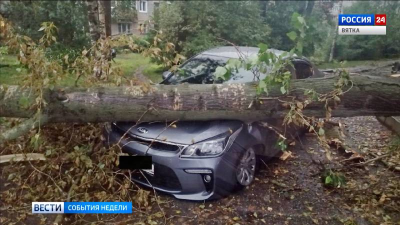 От недавнего урагана пострадали шесть районов Кировской области