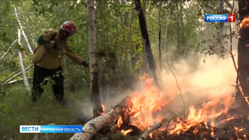 В лесах Кировской области объявлена высокая пожарная опасность