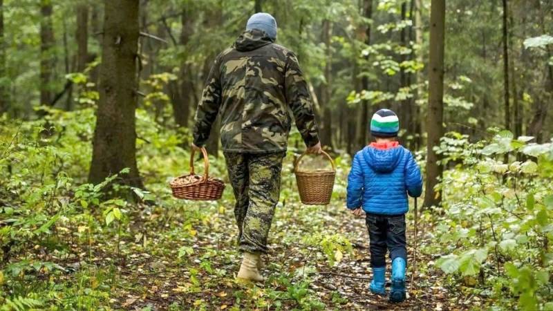 В МЧС рассказали, как не заблудиться в лесу