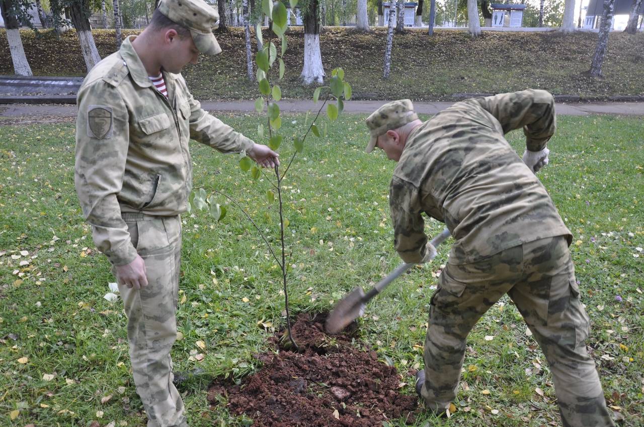 Кировские росгвадрейцы приняли участие во всероссийском субботнике «Зеленая Россия»