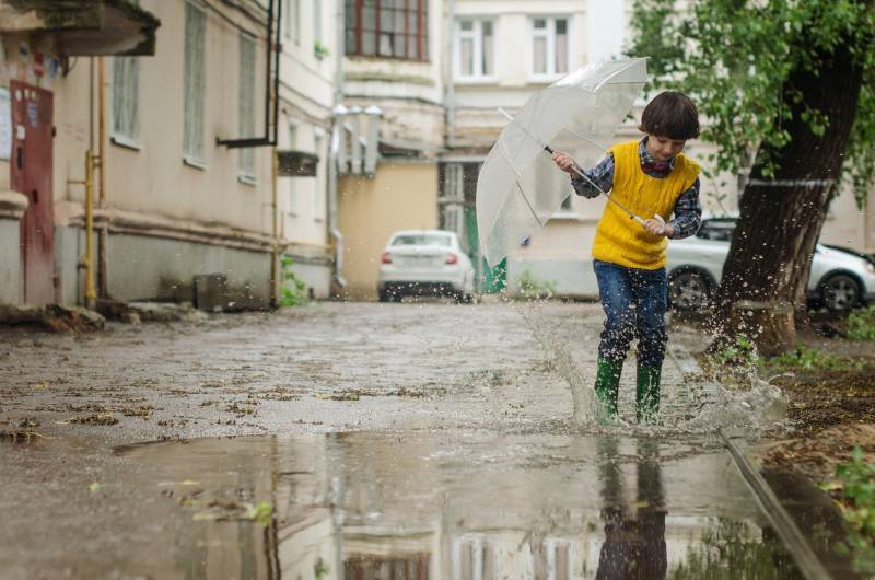 В среду в Кировской области ожидается до  14 градусов и небольшой дождь