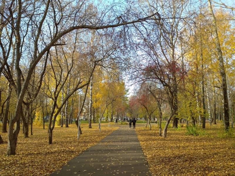 В Кировской области синоптики прогнозируют теплую погоду днем и заморозки ночью