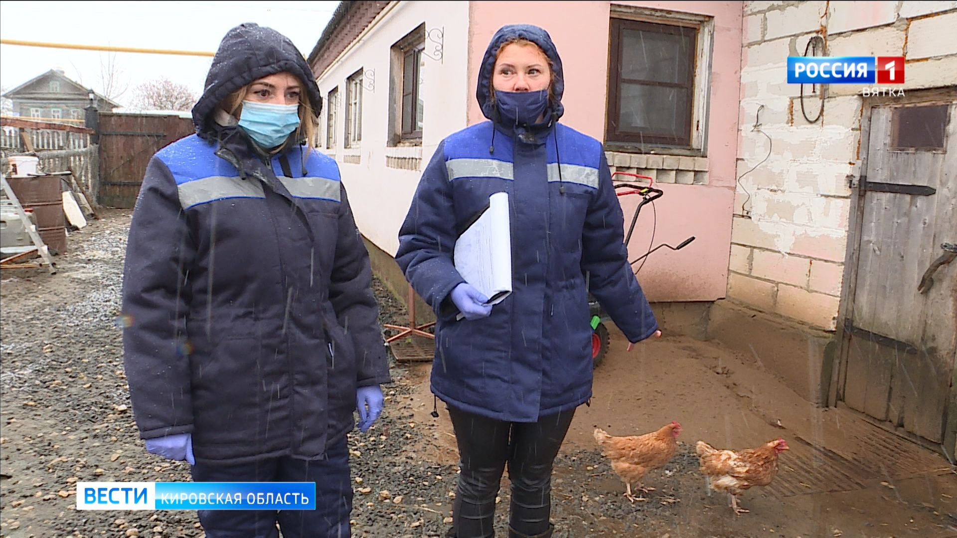 В Кирове из-за вспышки H5N1 проверяют домашнюю птицу » ГТРК Вятка - новости  Кирова и Кировской области