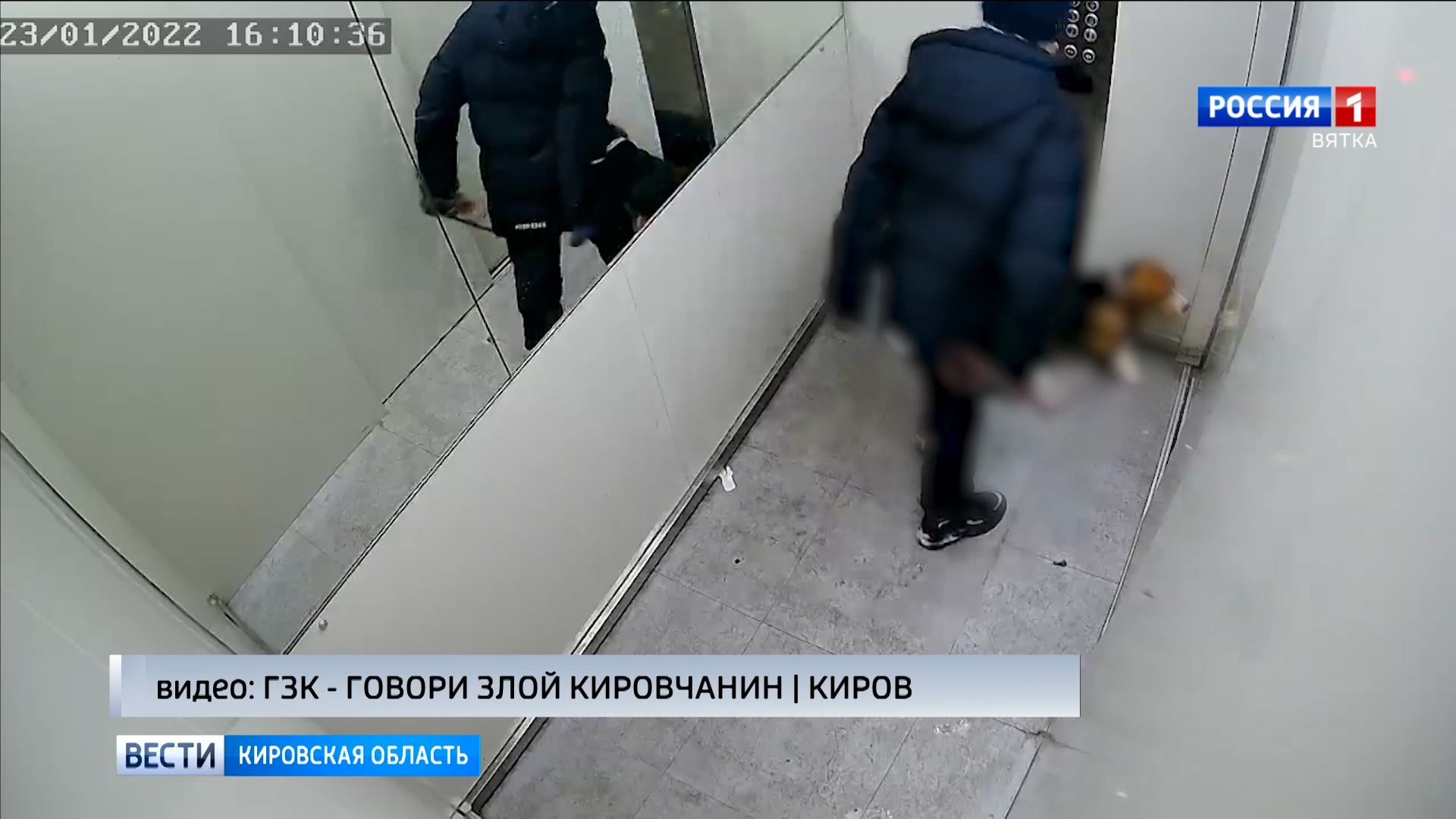 В Кирове мальчик жестоко избил свою собаку » ГТРК Вятка - новости Кирова и  Кировской области