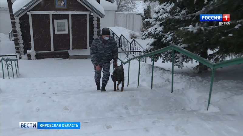 Накануне Рождества храмы Вятской Епархии обследовали кинологи с собаками