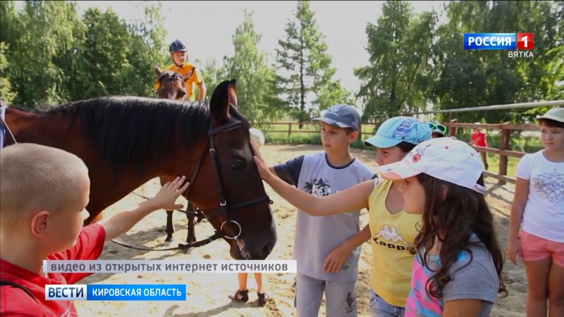 Кировчане смогут получить кэшбек за путевки в детские лагеря