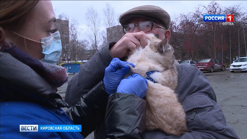 В Кирове началась бесплатная выездная вакцинация домашних животных против бешенства