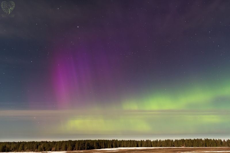 Фотограф запечатлел полярное сияние в Кирове