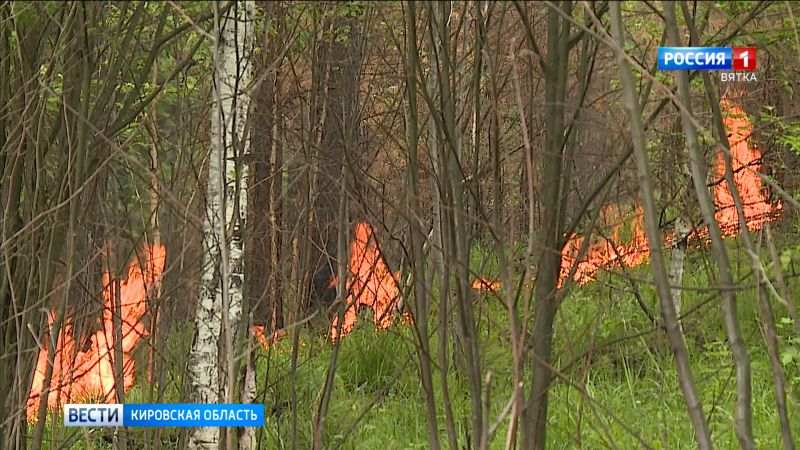 За прошедшие выходные в Кировской области зарегистрировано 48 пожаров