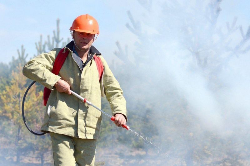 В Кировской области на развитие авиапожарной службы дополнительно выделят 19,5 млн рублей