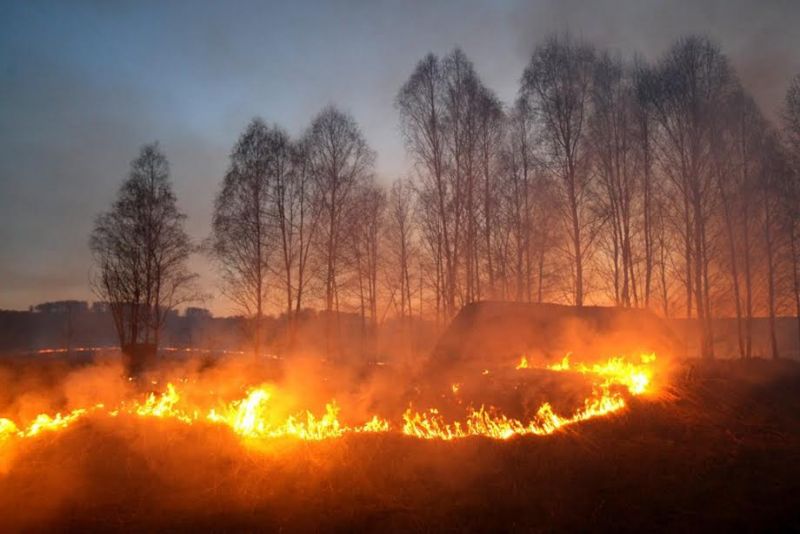 В Кировской области огонь от пала сухой травы перекинулся на жилые дома