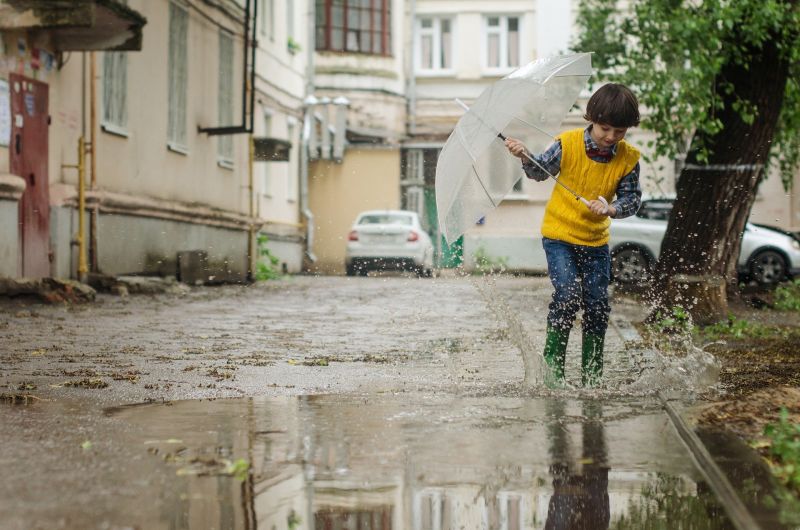 В четверг в Кировской области обещают дожди