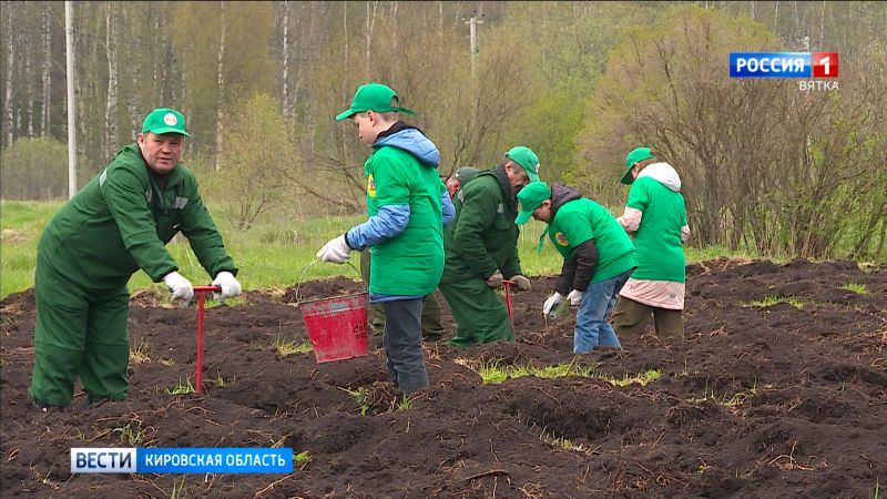 Кировчане приняли участие в акции «Сад памяти»