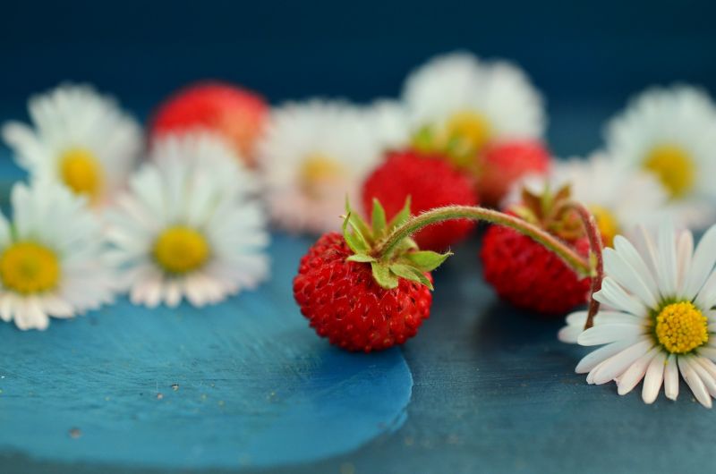 Частое употребление клубники вызывает аллергию