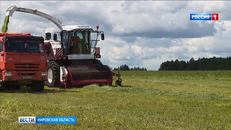 В кировской области началась заготовка кормов