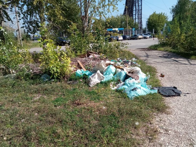 В Госдуме разрешили конфисковывать автомобили за выброшенный из машины мусор