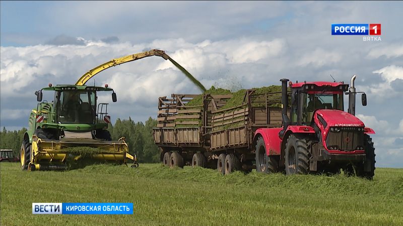 «Зеленая жатва» в Кировской области в самом разгаре