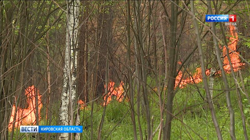 В Кировской области в трёх районах ввели особый противопожарный режим