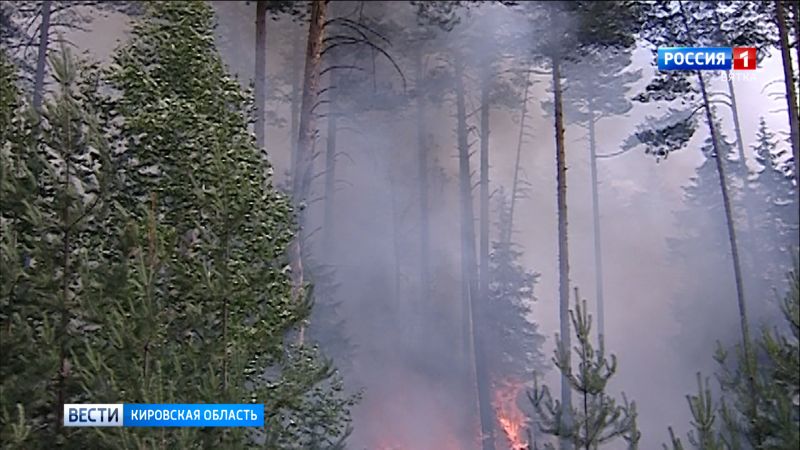 В Кировской области ликвидировали лесной пожар площадью 15 гектаров