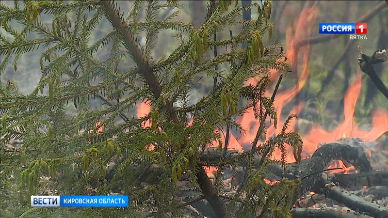 В Слободском лесничестве потушен пожар