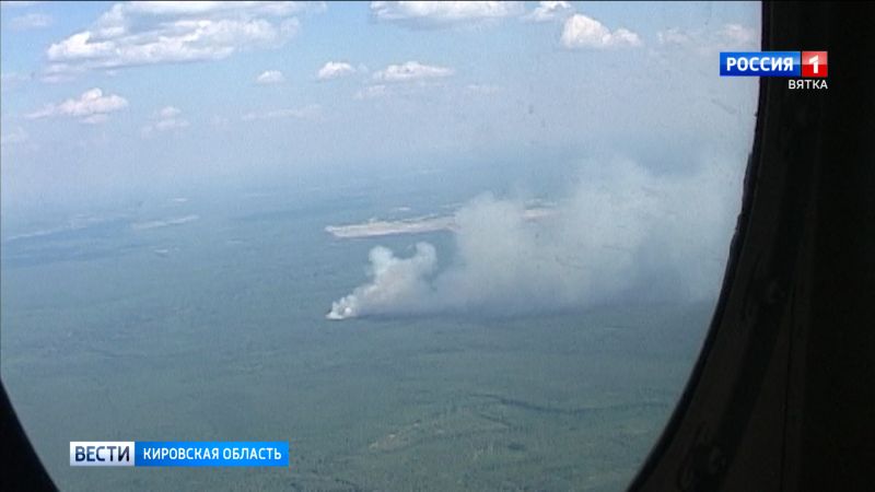 В Кировских лесах введен особый противопожарный режим