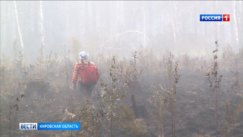 В Уржумском лесничестве произошел пожар