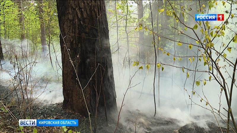 В Кировской области локализовали два лесных пожара