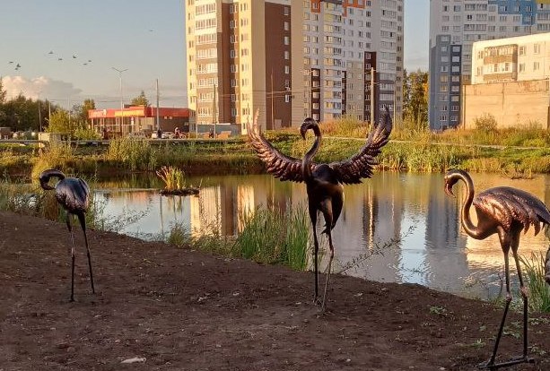 В Кирове появились четыре южные птицы