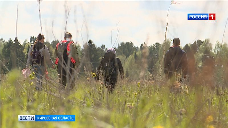 В Омутнинском районе нашли заблудившегося грибника