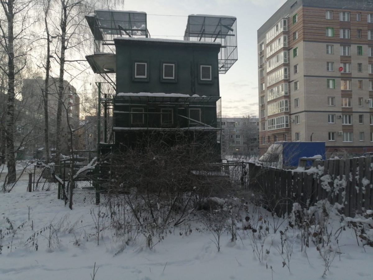 В Кирове на месте голубятни хотят построить детский сад » ГТРК Вятка -  новости Кирова и Кировской области