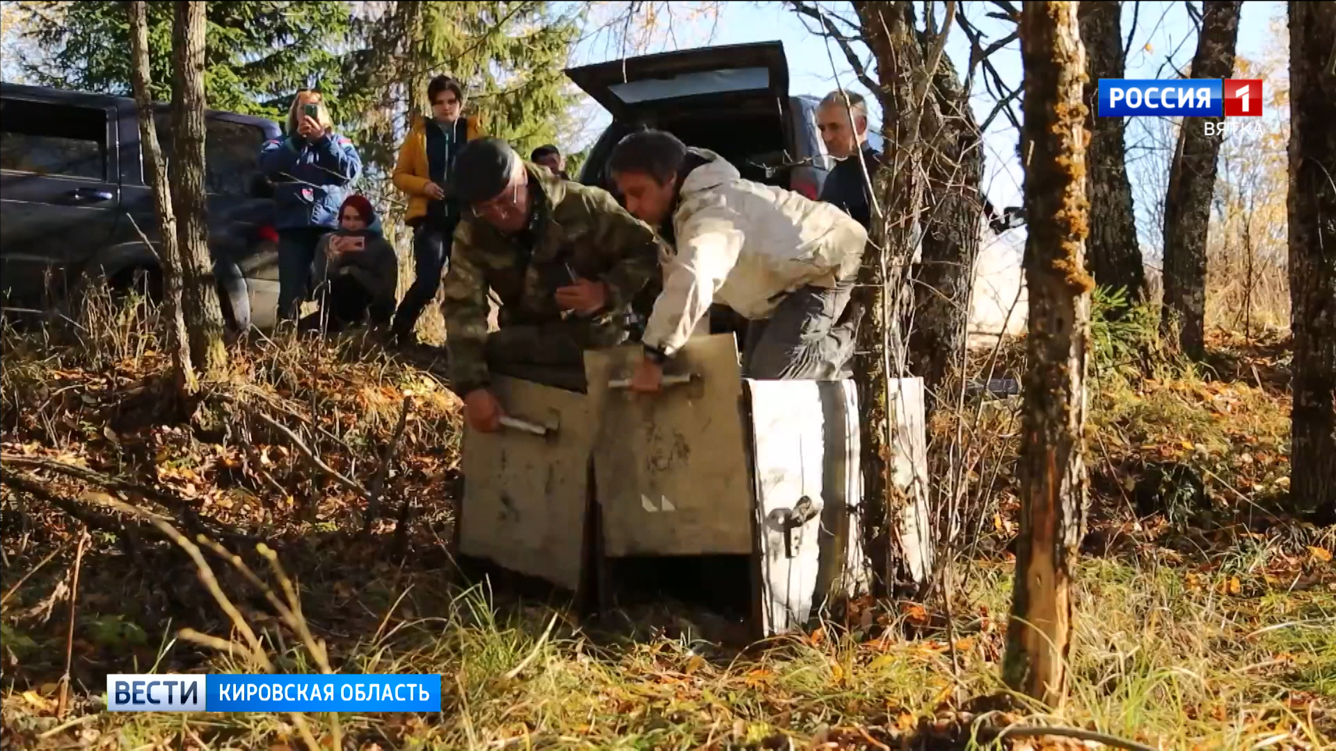 Центр спасения медвежат-сирот поделился видео о возвращении Ёжика и  Веснушкина в лес » ГТРК Вятка - новости Кирова и Кировской области