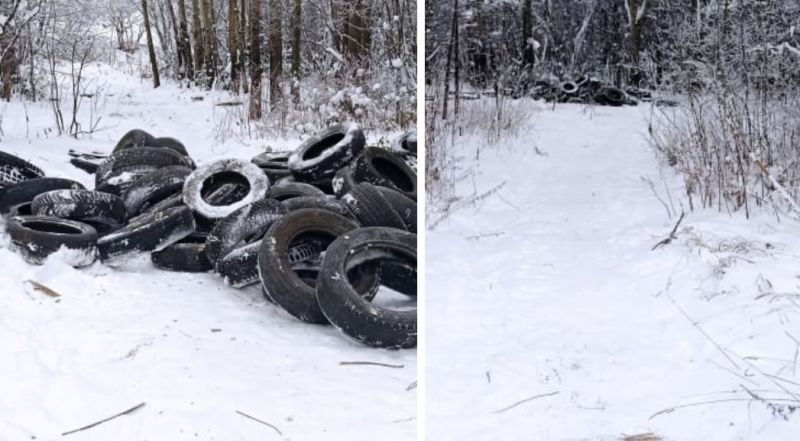 В Зубаревском лесу обнаружили свалку автомобильных покрышек