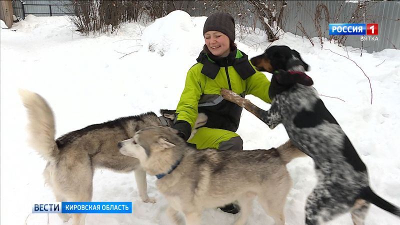 Кировчане успешно выступили на соревнованиях по ездовому спорту