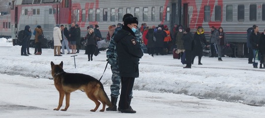 В Кирове полицейские сняли с поезда 24-летнего пермяка с марихуаной