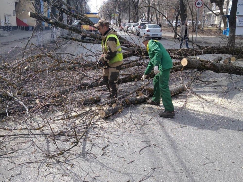 В Кирове упавшая ветка повредила провода