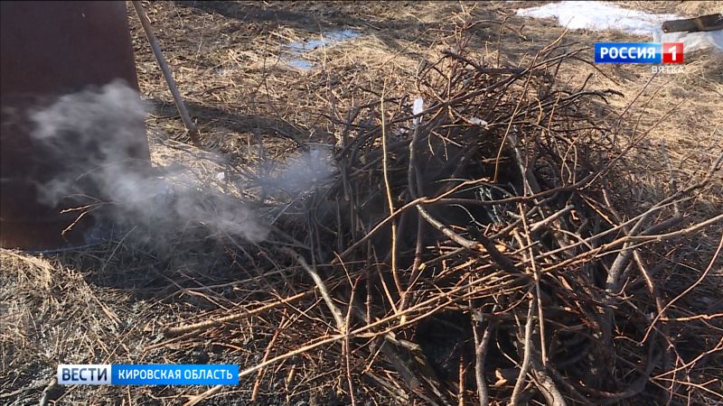 За прошедшие выходные кировские пожарные четыре раза выезжали тушить траву