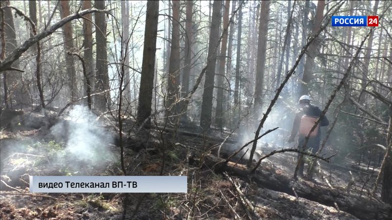 В Кировской области начался сезон лесных пожаров