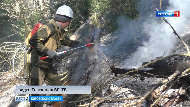 В Вятскополянском районе двое суток продолжалась борьба с лесным пожаром