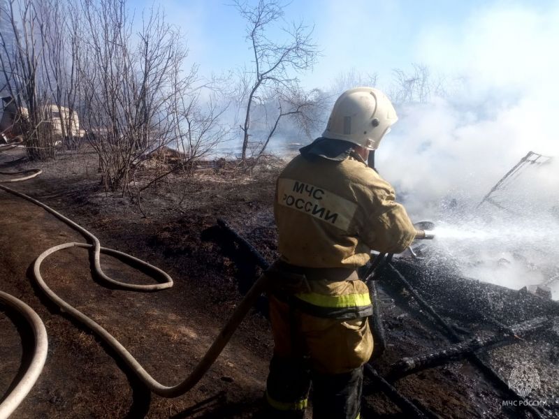 Пожар в садоводстве в Вятскополянском районе локализован