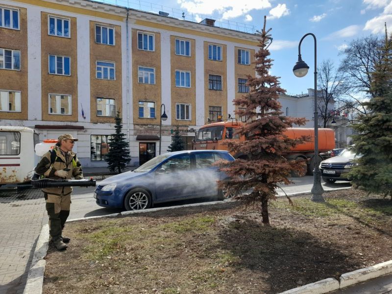 В Кирове начали обрабатывать деревья после зимы