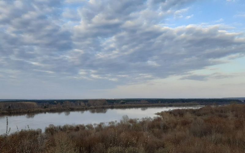 Пятница в Кировской области будет пасмурной