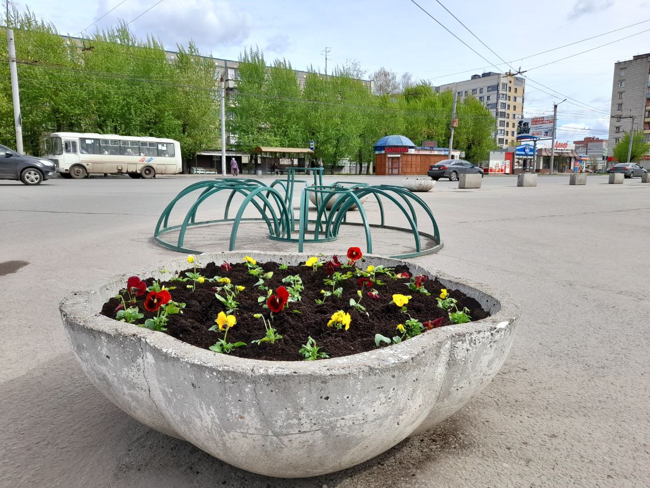 К Дню Победы на площади Маршала Конева в Кирове высадили однолетники и  спирею » ГТРК Вятка - новости Кирова и Кировской области