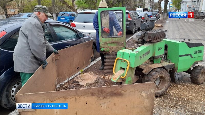 В Кирове старые пни начали использовать для борьбы с сорняками