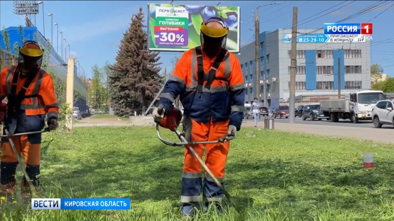 В Кирове начали косить траву на газонах