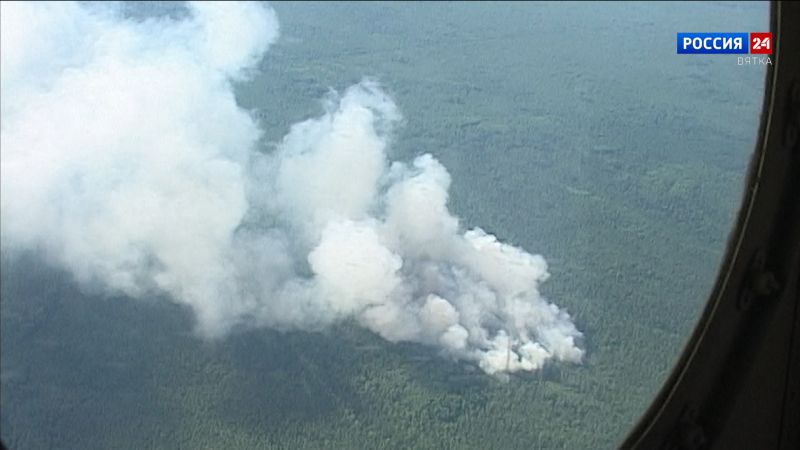 За сутки в Кировской области было зарегистрировано пять лесных пожаров