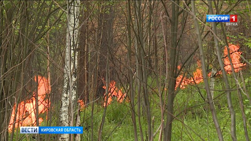 За сутки в Кировской области зарегистрировали 3 лесных пожара